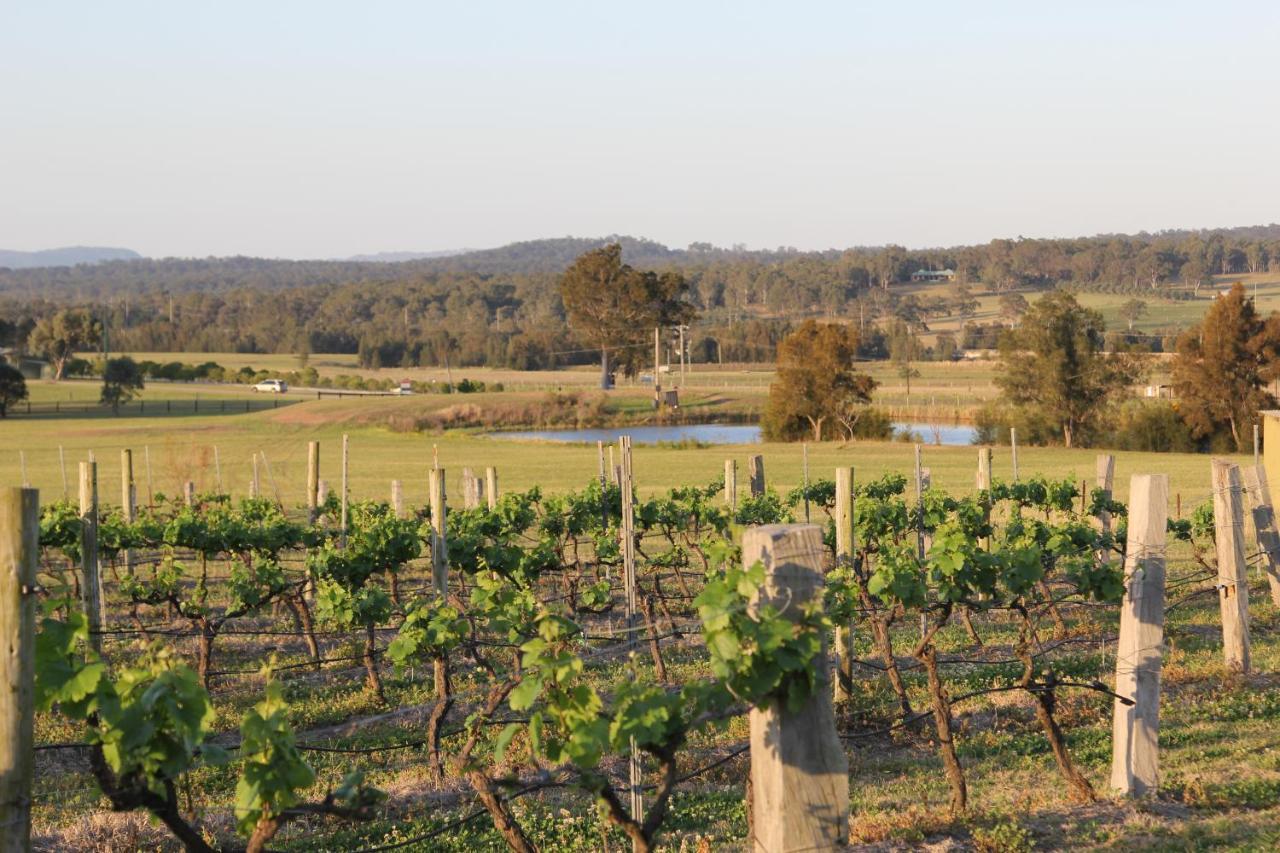 Blueberry Hill Vineyard Stay Rothbury Ngoại thất bức ảnh