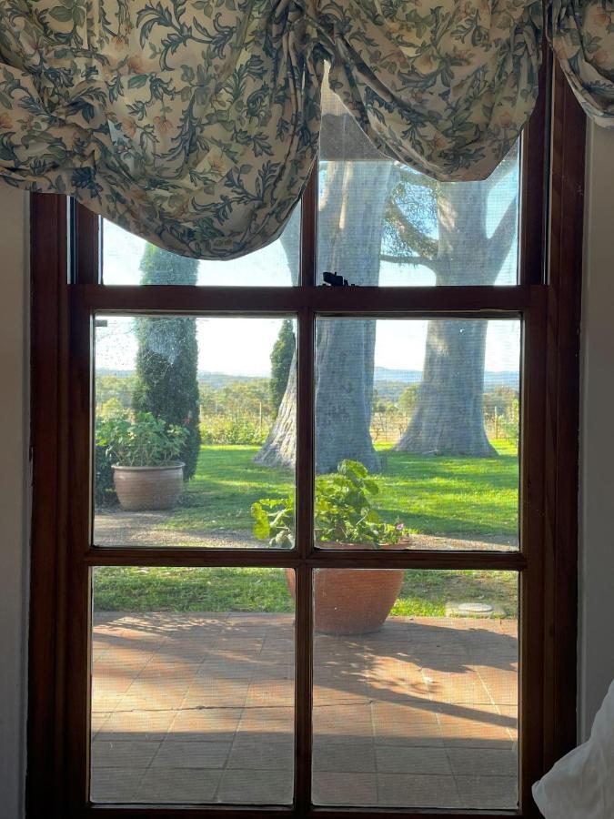 Blueberry Hill Vineyard Stay Rothbury Ngoại thất bức ảnh