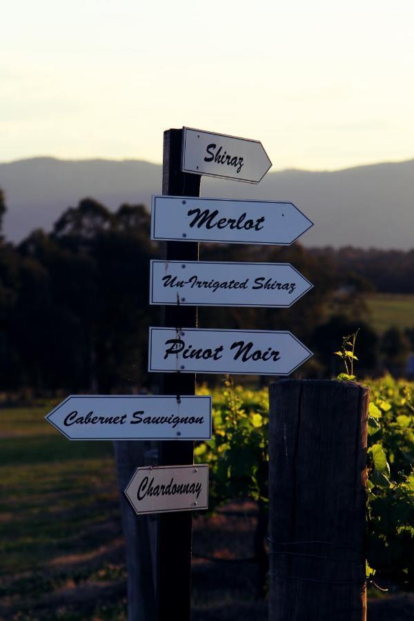 Blueberry Hill Vineyard Stay Rothbury Ngoại thất bức ảnh