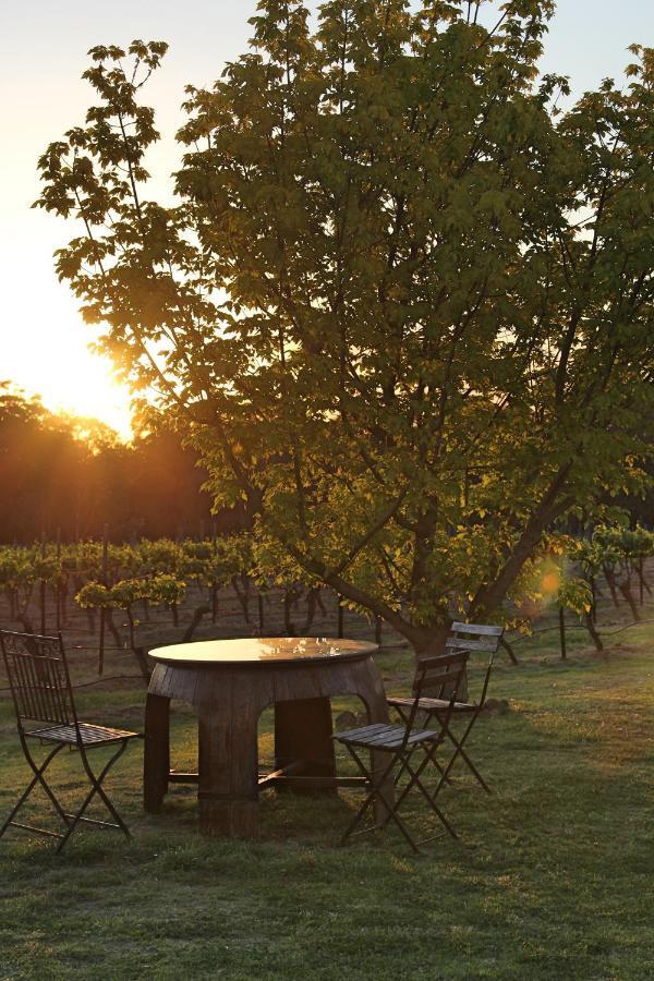 Blueberry Hill Vineyard Stay Rothbury Ngoại thất bức ảnh