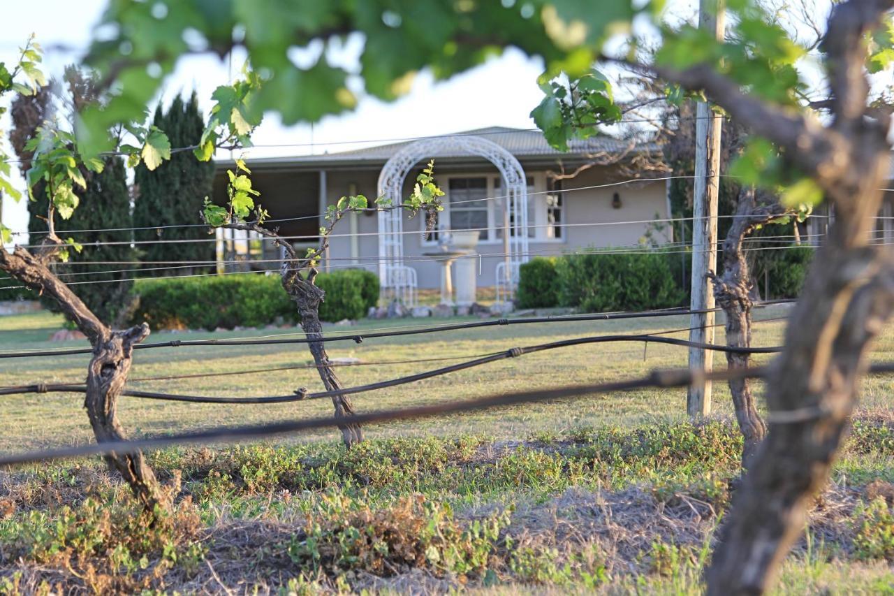 Blueberry Hill Vineyard Stay Rothbury Ngoại thất bức ảnh