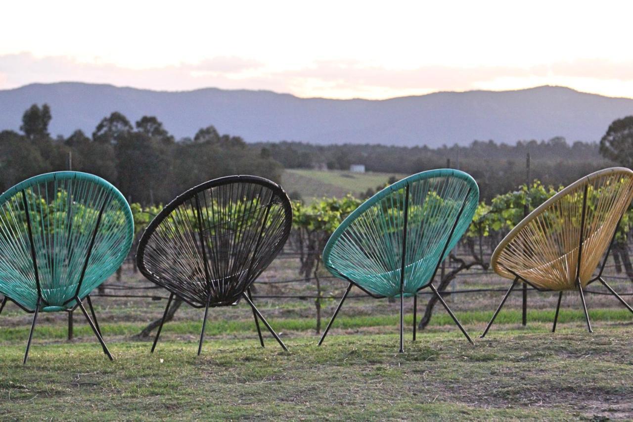 Blueberry Hill Vineyard Stay Rothbury Ngoại thất bức ảnh